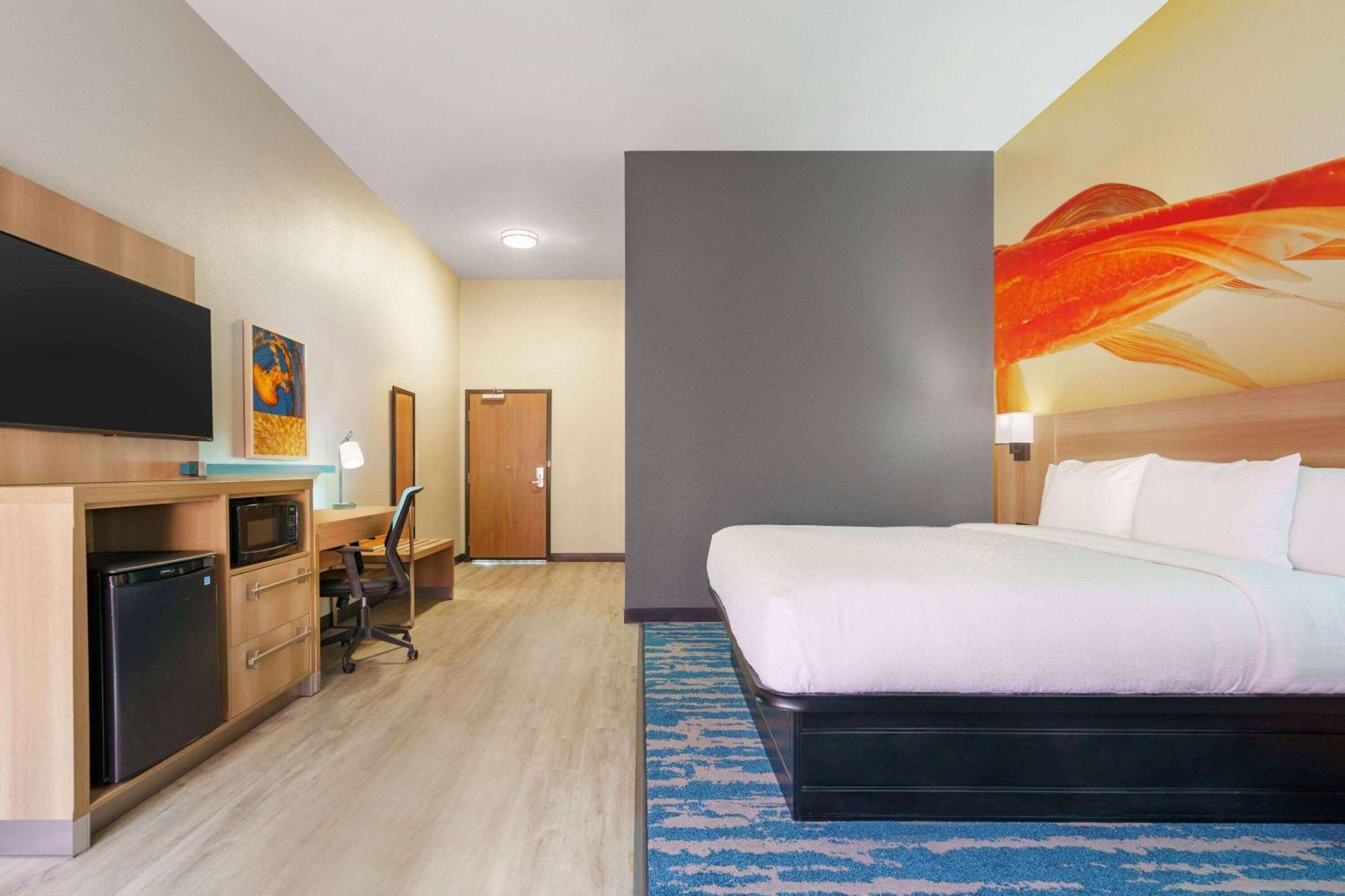 La Quinta Inn & Suites By Wyndham San Antonio Seaworld Lafb Exteriör bild